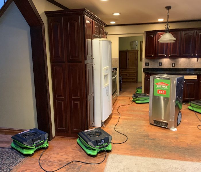 EMS Cleanup & Drying